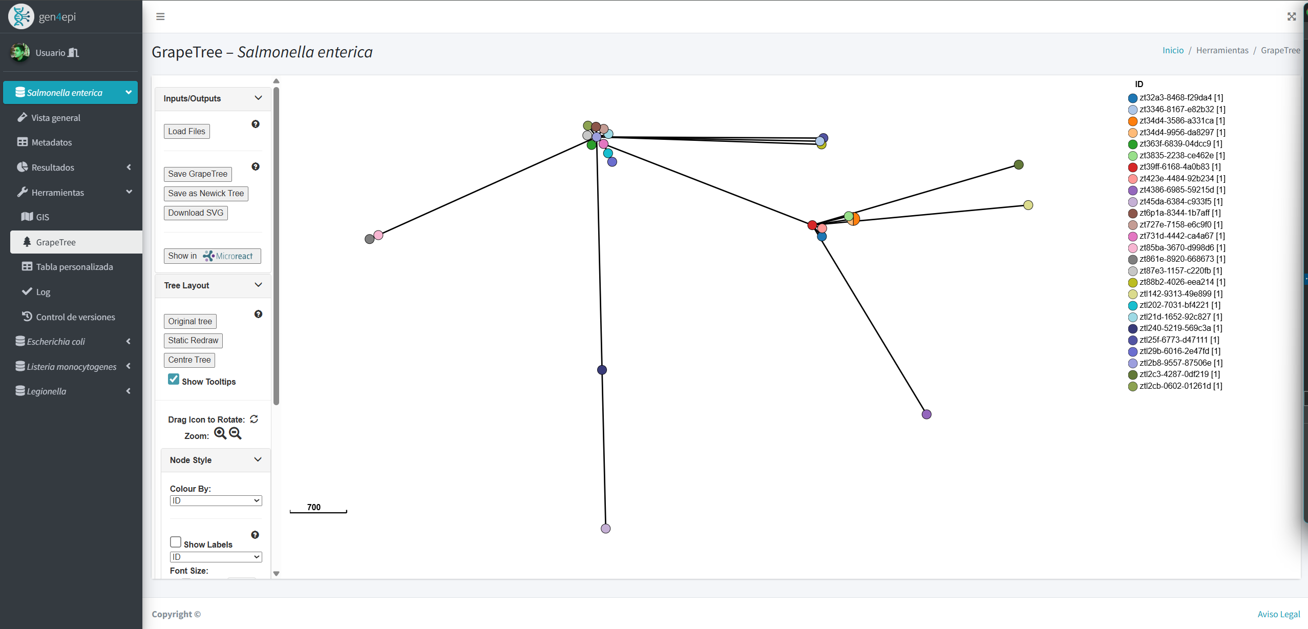 Árbol filogenético generado en gen4epi mostrando las relaciones evolutivas entre secuencias genómicas