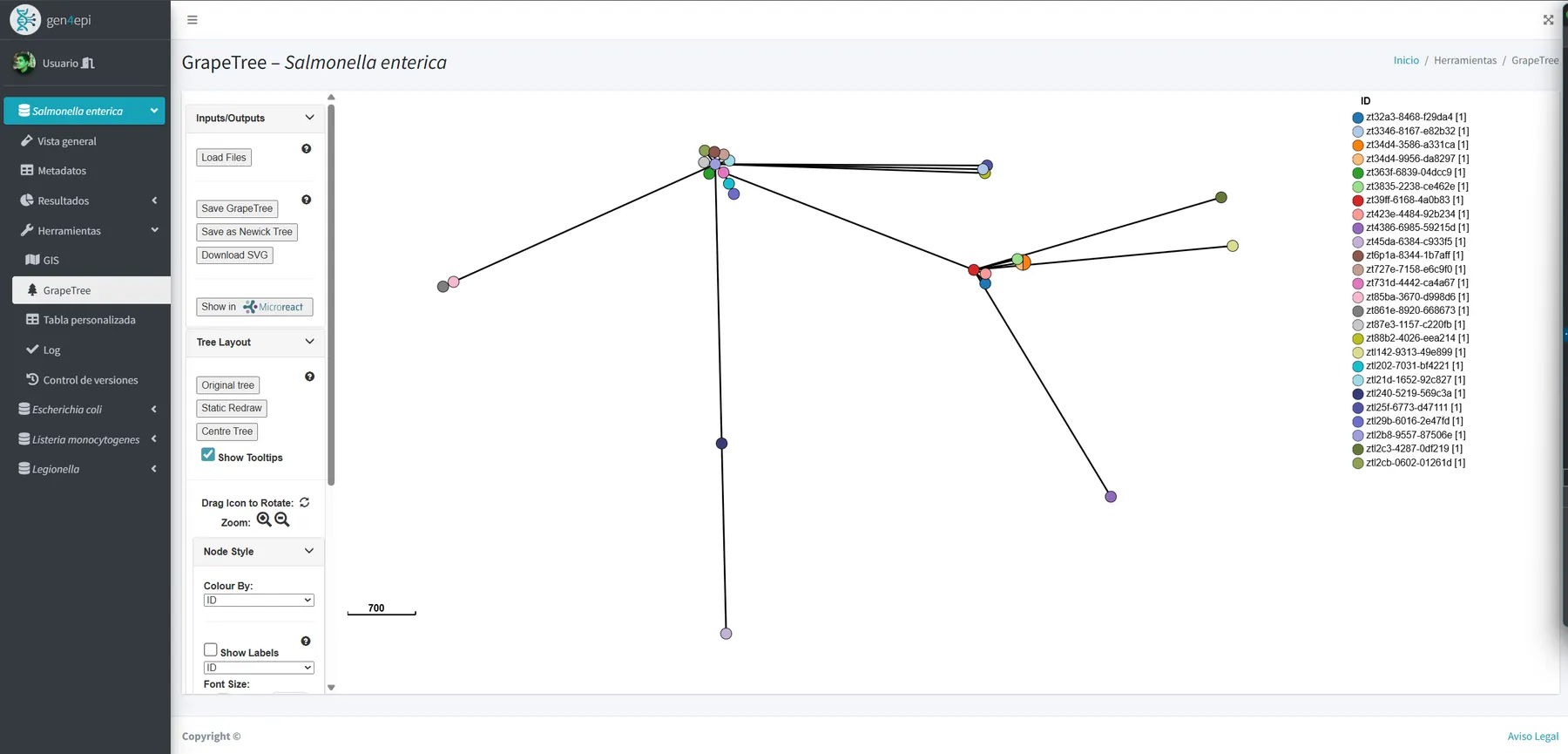 Árbol filogenético generado en gen4epi mostrando las relaciones evolutivas entre secuencias genómicas